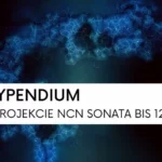 stypendium-ncn-sonata-bis12